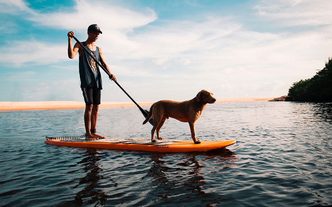 All dog-lovers know pups have a huge impact on our lives. Here’s how man’s best friend can help you live your best life