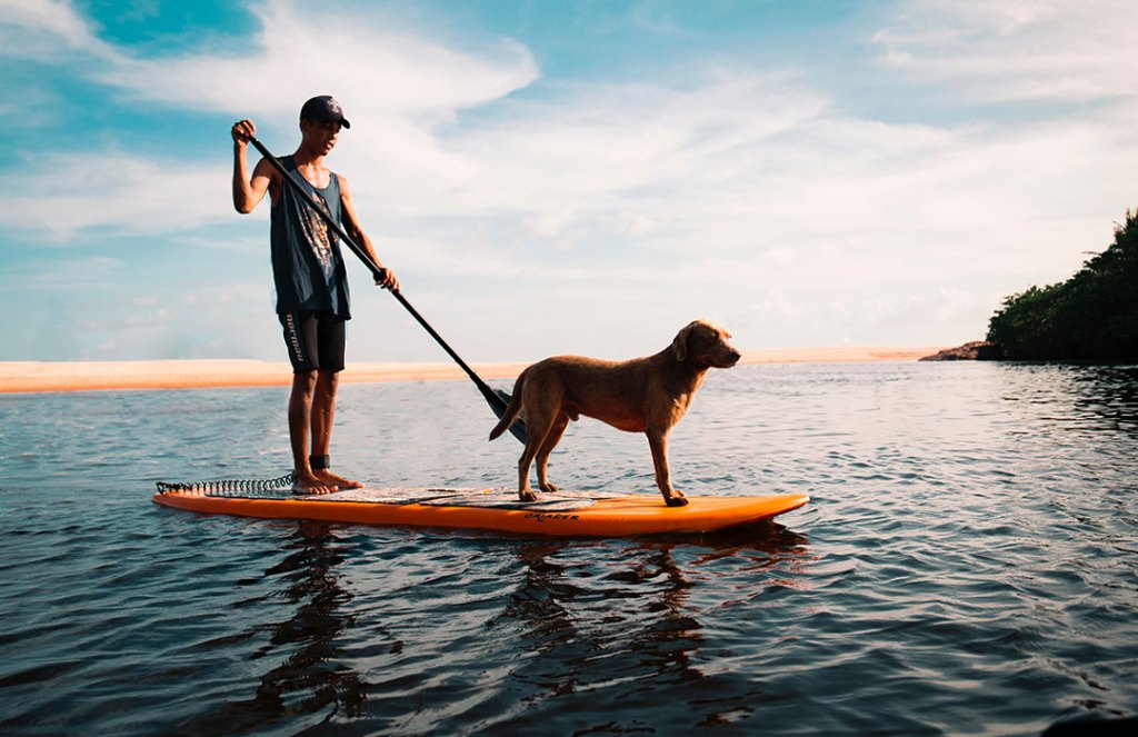 All dog-lovers know pups have a huge impact on our lives. Here’s how man’s best friend can help you live your best life