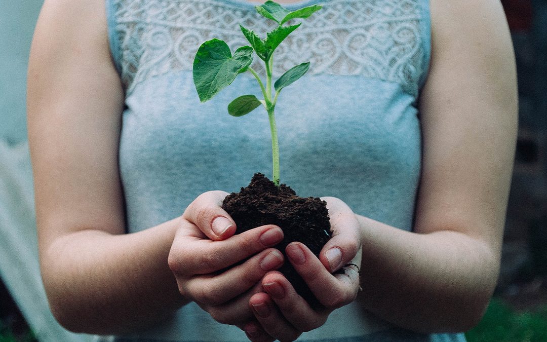 I want to become the best version of myself—how can I transition from a fixed mindset to a growth mindset?