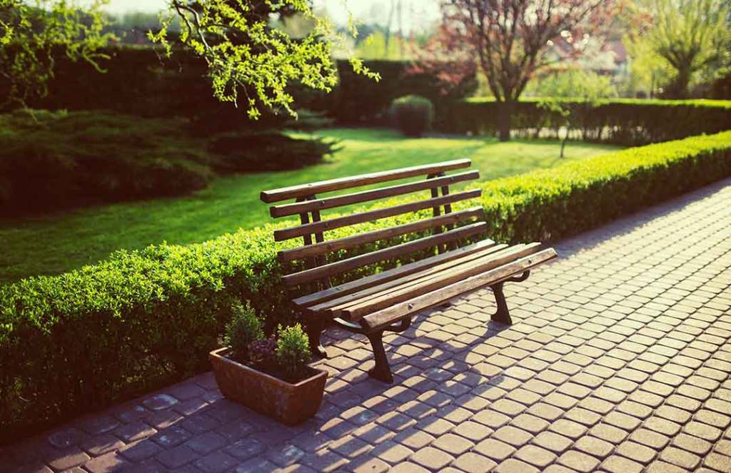 Green spaces have a positive impact on mental health (Video)