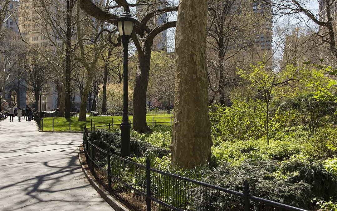 Spend a short time at the park and experience big mental health benefits (Videos)