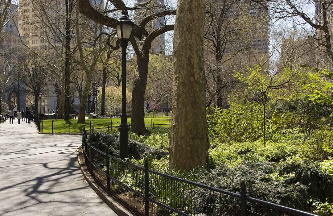 Spend a short time at the park and experience big mental health benefits (Videos)