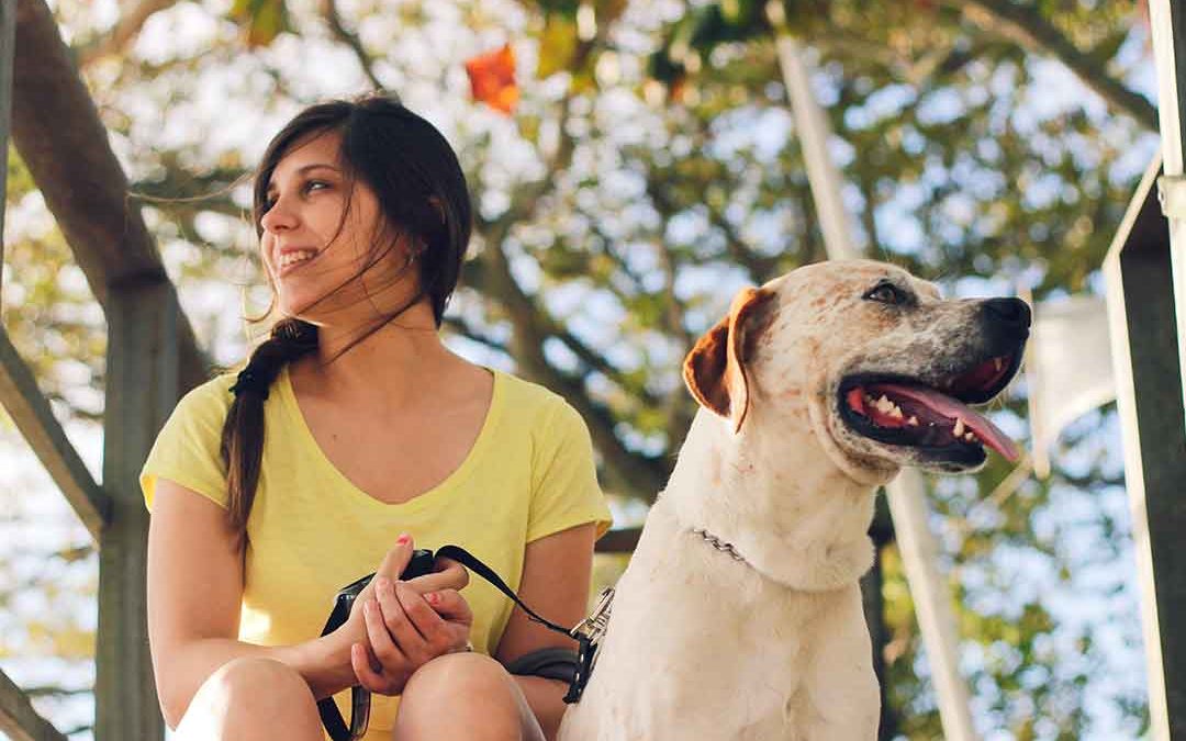 Similarities found in how we choose human and canine companions (Video)