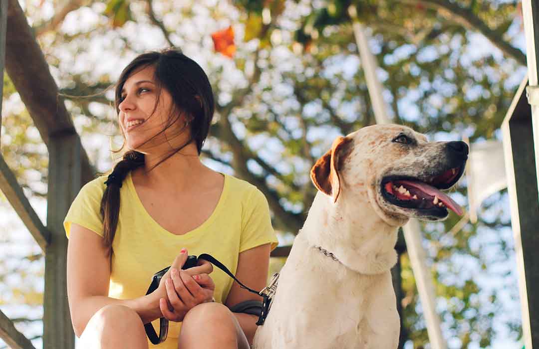 Similarities found in how we choose human and canine companions (Video)