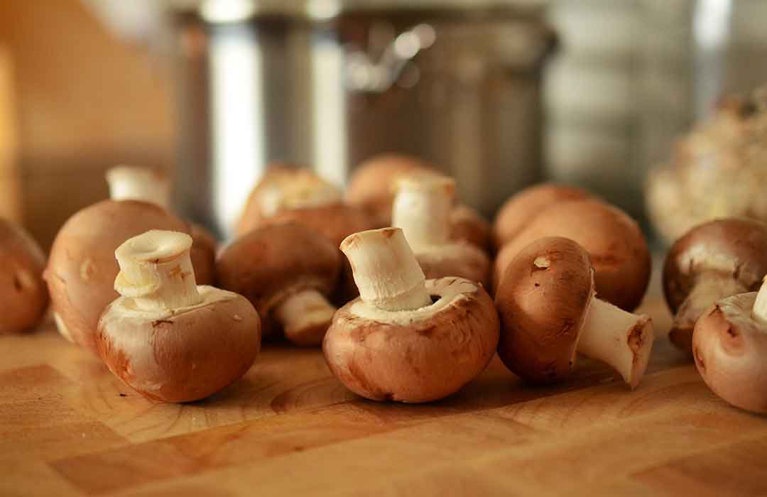 Mushrooms are “brain food” for seniors, 50% reduced odds of cognitive impairment! (Video)