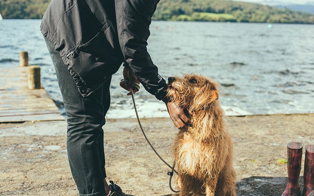 The 50 Best Kid-and-Dog Duo Halloween Costumes