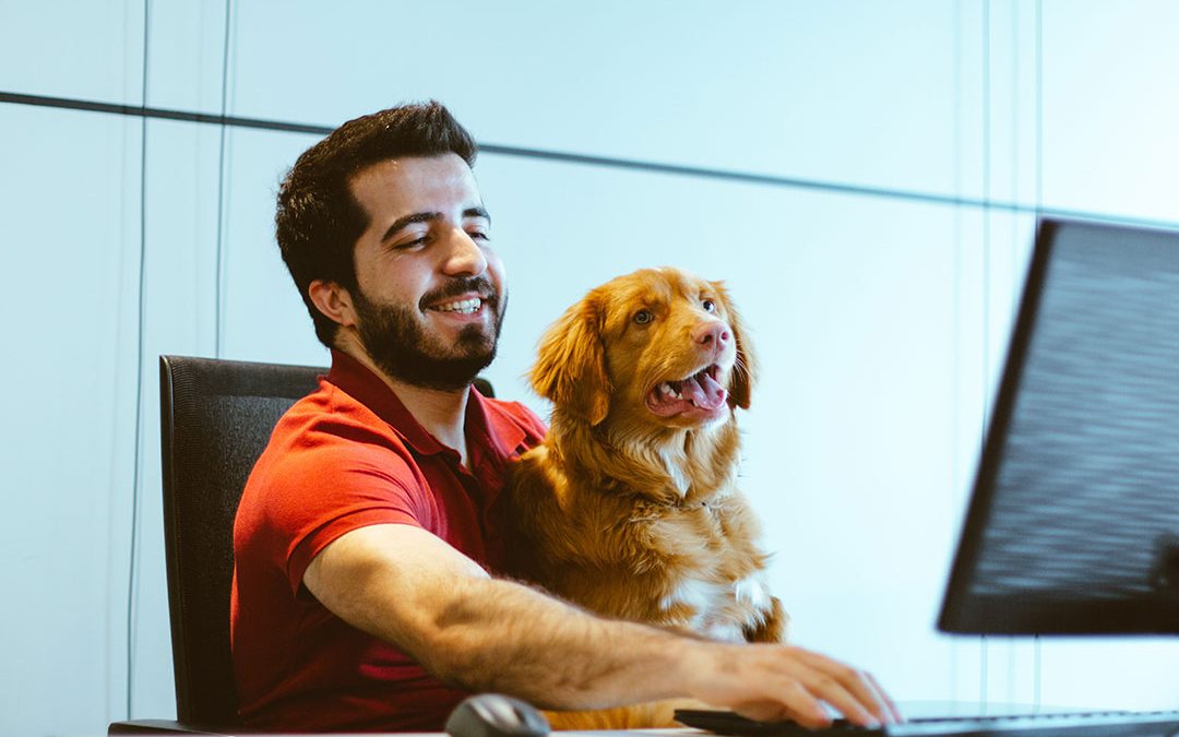 The positive regard we receive from dogs gives our mental health a generous boost