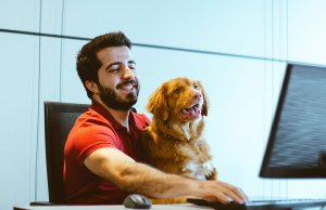 dog and man looking at screen