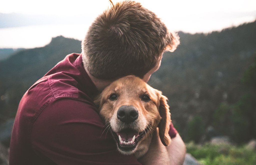 man and golden dog in front of mountain