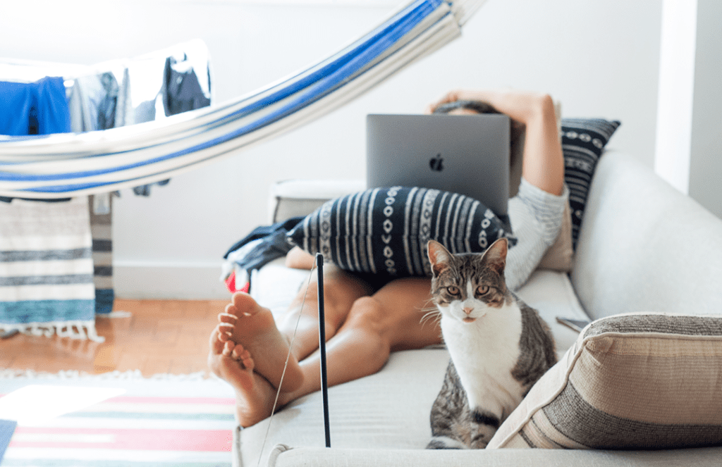 person laying on white couch looking at their lap top with a cat sitting at their feet