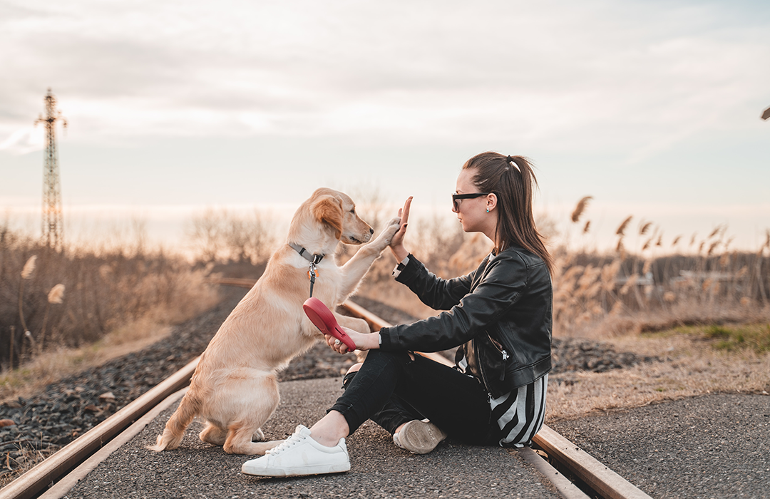 Exploring the Deep Bonds Between Humans and Companion Animals | Thriveworks