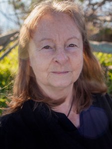 Susan Terris