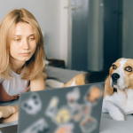 Woman lies on bed with laptop and dog