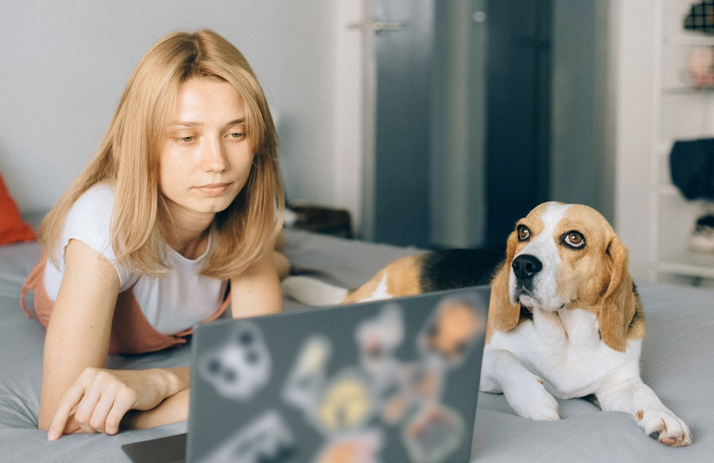 Woman lies on bed with laptop and dog