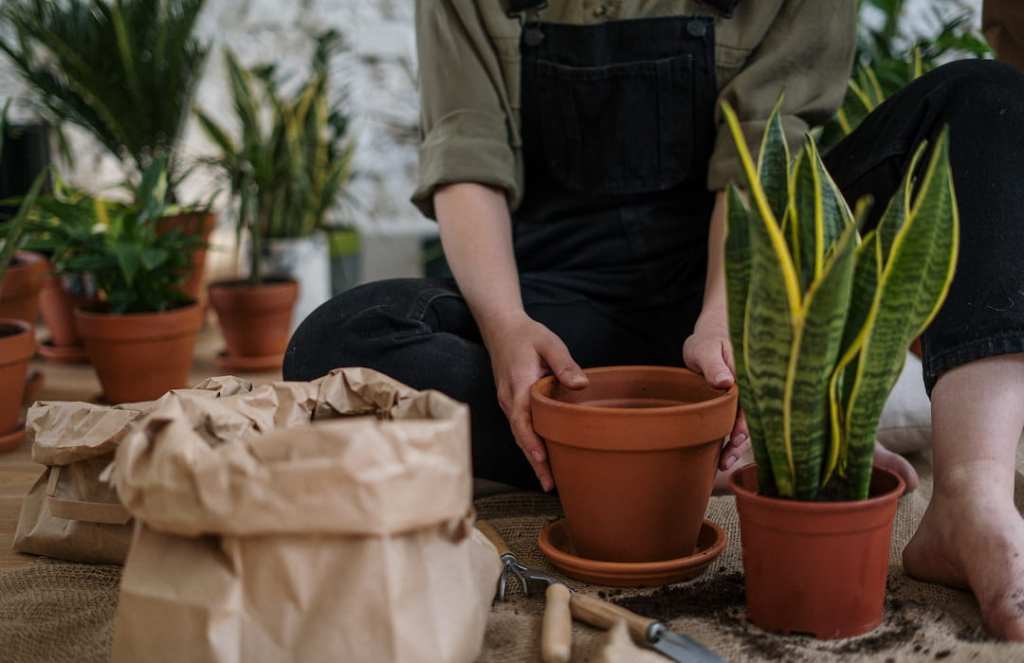 person-in-gray-t-shirt-and-blue-denim-jeans-sitting-on-brown-clay-pot