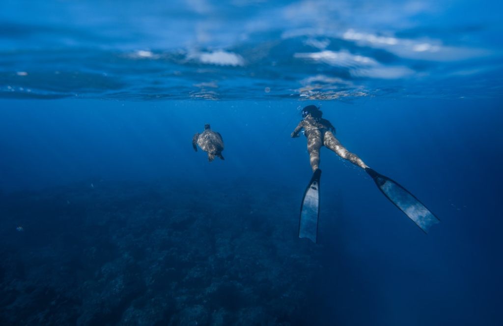 Woman snorkels next to sea turtle