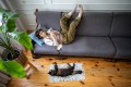 Woman lying on gray couch with legs up, reading phone, with cat relaxing on small rug below in cozy living room
