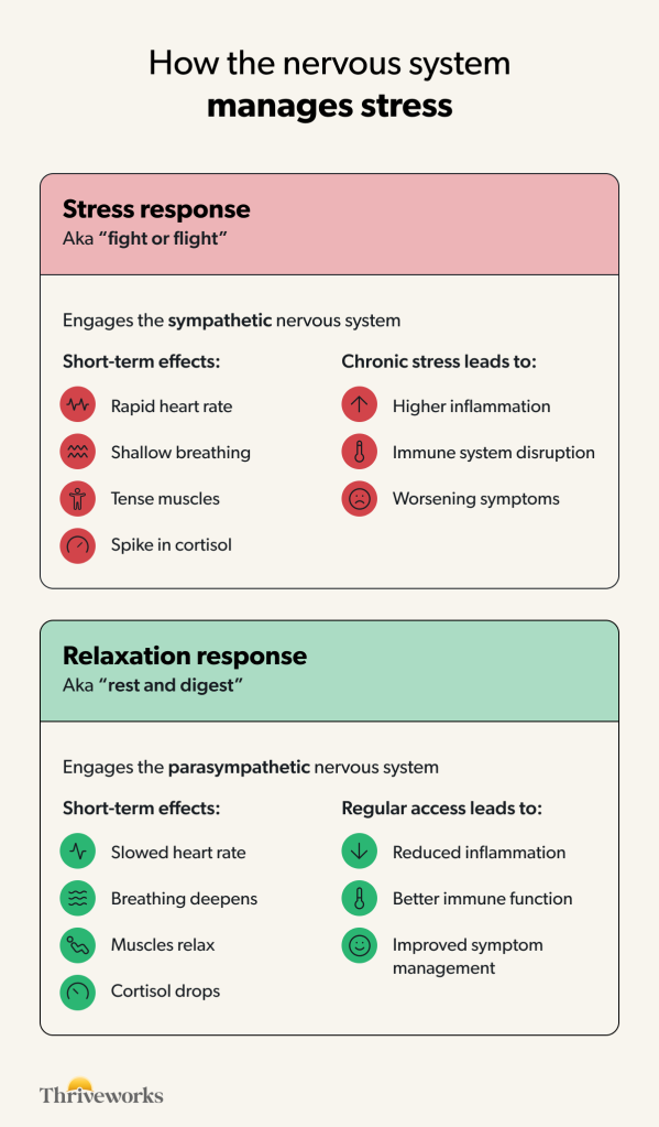 Infographic comparing the stress response and relaxation response: stress response triggers the sympathetic nervous system with short-term effects like rapid heart rate, shallow breathing, tense muscles, and cortisol spikes, leading to inflammation, immune disruption, and worsening symptoms; relaxation response triggers the parasympathetic nervous system with short-term effects like slowed heart rate, deeper breathing, relaxed muscles, and dropping cortisol, leading to reduced inflammation, better immune function, and improved symptom management.
