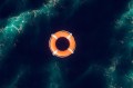 Life preserver in the ocean